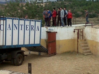 llegada de la vaquilla